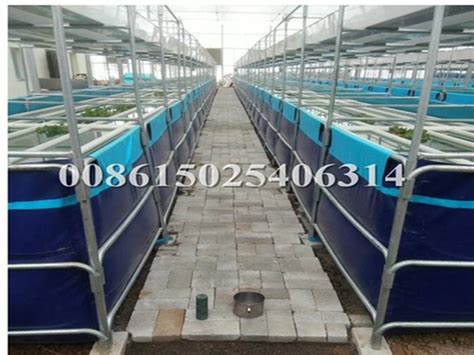 RAS Fish Aquaculture Farming Equipment 20 Ton Prawn Farming Fishery Equipment for Fish,Koi Fish ...