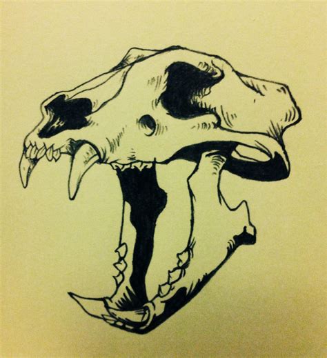 Tiger skull. DIEF13... | Animal skull drawing, Bone drawing, Animal skulls