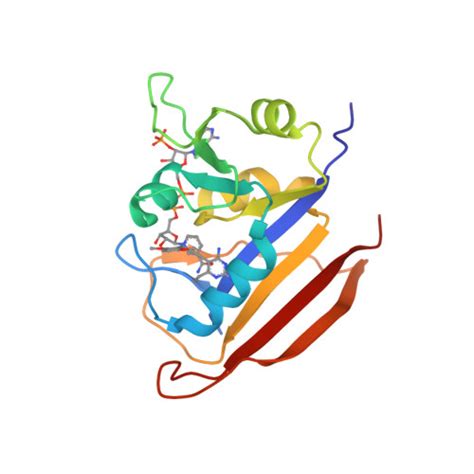 RCSB PDB 3E0B Bacillus Anthracis Dihydrofolate Reductase Complexed