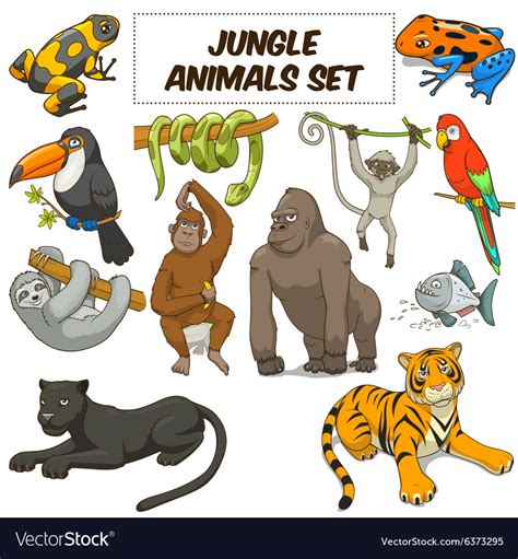 Jungle Animals Set Cartoon