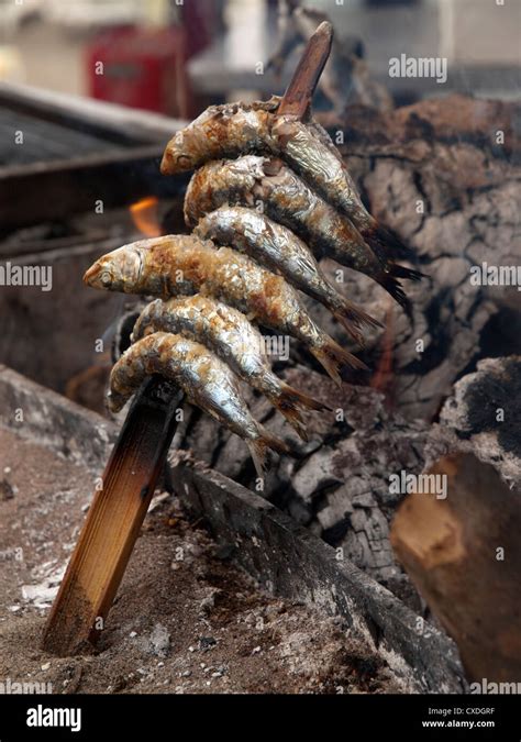 Sardines Being Cooked On A Wood Fireon A Beach In Southern Spain Stock