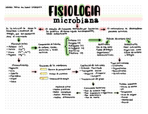 Tareas primer parcial FISIOLOGÍA l Studocu