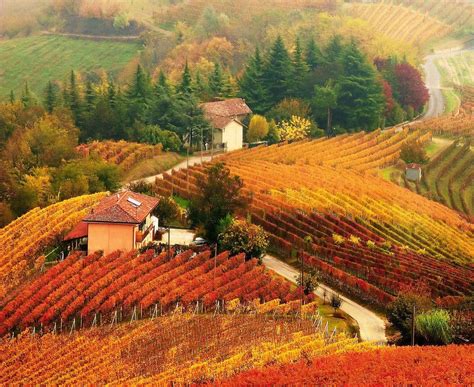 Top Of Autumn Langhe Piemonte Italy Travel Paradisdivineitaly