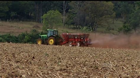 Plantio Da Soja Deve Ser De Milh Es De Hectares Em Goi S G Goi S