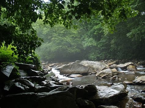 Top 5 Natural Tourist Attractions in Gatlinburg TN | The Cabin Rental Store