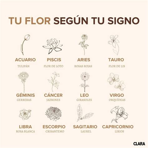 Cual Es El Mejor Signo Zodiacal 2024 Rani Valeda