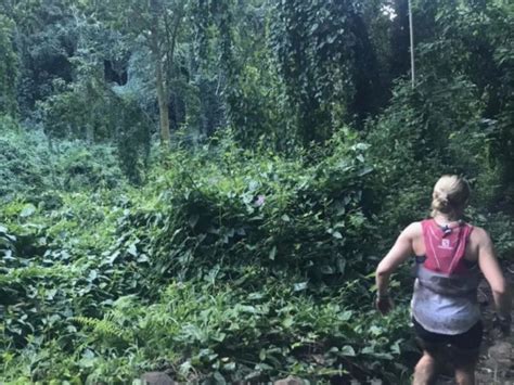 Apareci Un Fantasma Hawaiano Mientras Corr A Una Marat N En La Selva