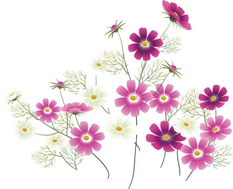 Free 297 Transparent Wildflower Svg Free Svg Png Eps Dxf File