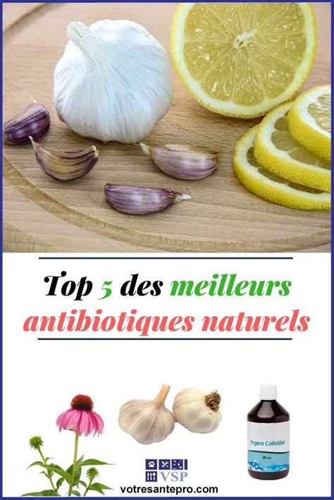 Top 5 Des Meilleurs Antibiotiques Naturels Antibiotiques Naturels