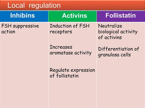 Follicular Dynamics In Cattleandbuffalo Ppt