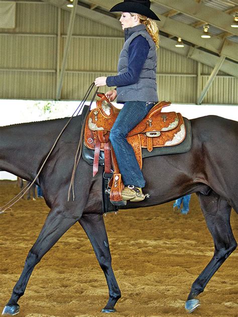 Equitation Essentials The Hows And Whys Of A Winning Riding Position