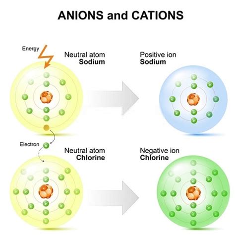 Difference between Ion and Atom in Points with Examples