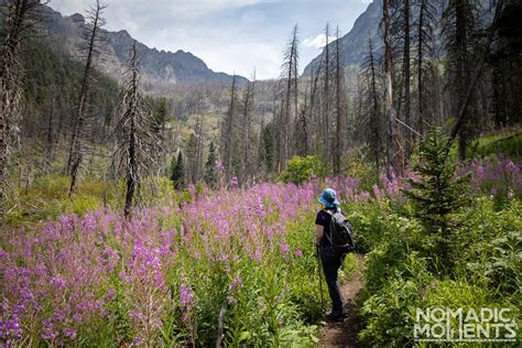 Pine Creek Lake Trail In Montana Hiking Guide Nomadic Moments