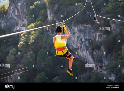 zipline   forest beautiful view  zip  riding   zip
