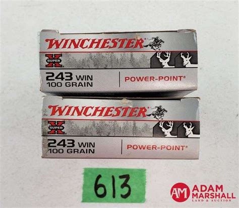 Winchester Super X Power Point 243 Win 100 Gr 2 X 20 Adam