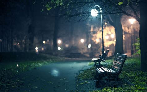 Fondos de pantalla luz de sol Árboles luces bosque profundidad de