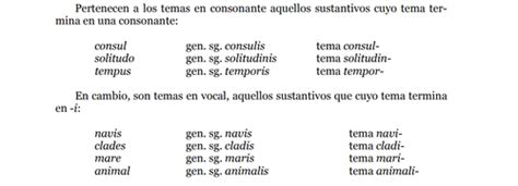 Fichas De Aprendizaje LatÍn Tercera DeclinaciÓn Quizlet