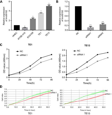 Upregulation Of Long Noncoding Rna Linc00152 Promotes Proliferation An