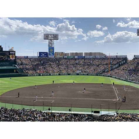 阪神タイガース 5月28日 甲子園 阪神vs巨人 グリーンシート通路側2席の通販 By Takasan1969s Shop｜ハンシン