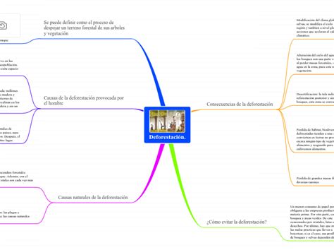 Arriba 104 Imagen Mapa Mental Sobre La Deforestacion Abzlocalmx Porn Sex Picture