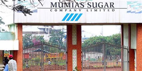 Mumias Sugar Full Year Loss Widens To Sh6 3bn Business Daily