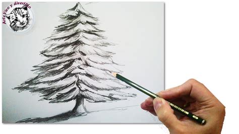 C Mo Dibujar Un Abeto O Arbol De Navidad Realista Paso A Paso A L Piz