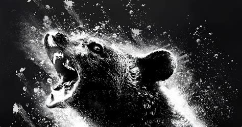 'Cocaine Bear' Is a Buzz Kill | WIRED