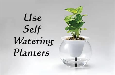 How Do Self Watering Planters Work Quick Facts