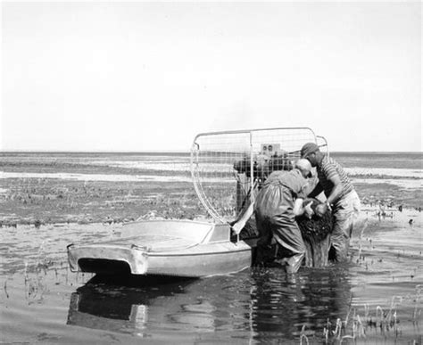 Paula Winston Leslie Porn Star Leslie Winston