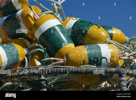 Beautiful Shot Of Colorful Crab Buoys Traps Connected With Ropes On A