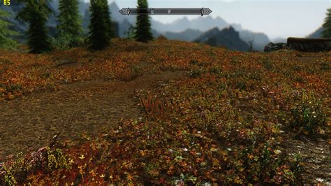 Skyrim Flora Overhaul 2.5b has no grass : skyrimmods