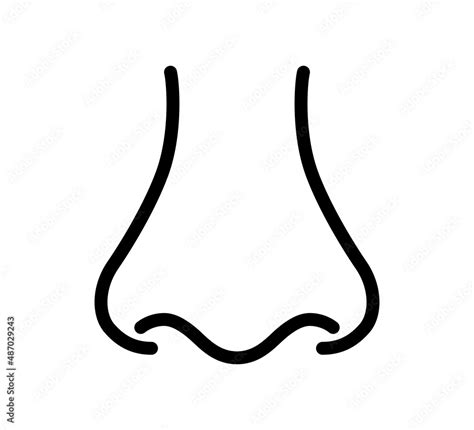 Nose Icon Nose Front View Human Organ Of Smell Icon Vector