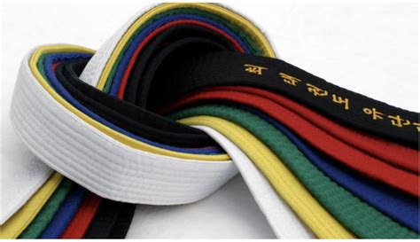 What Are The Karate Belts In Order? Read More.