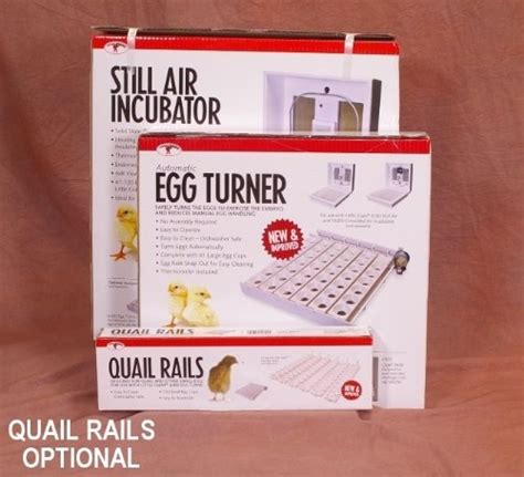 Little Giant Egg Incubator Manual