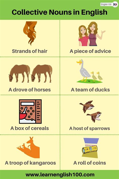 The Ultimate Guide To Collective Nouns In English Everything You Need