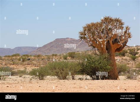 Augrabies Falls National Park Stock Photo - Alamy