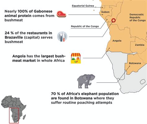 Mapping The African Bushmeat Crisis Earth Org