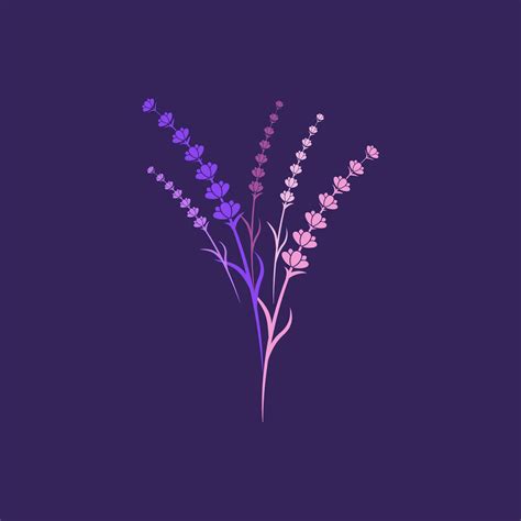 Lavender Flower Vector Icon Illustration 35746607 Vector Art At Vecteezy