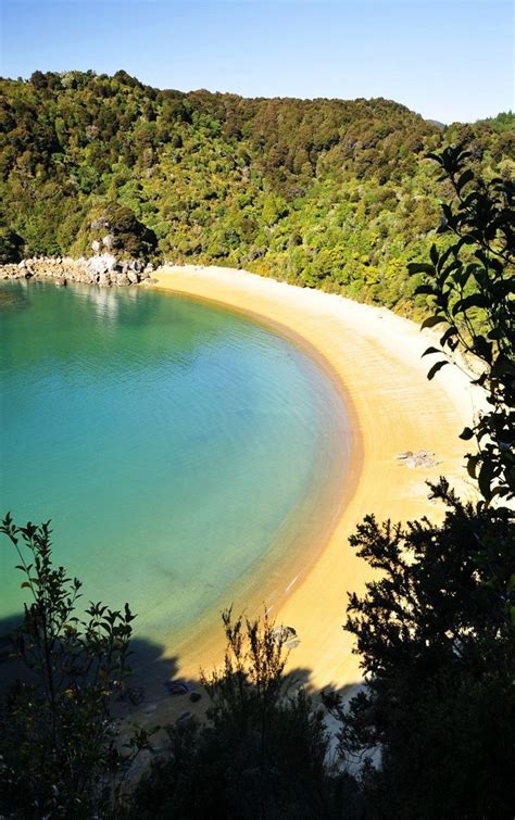 Te Pukatea Bay Abel Tasman Np National Park Kahurangi New Zealand