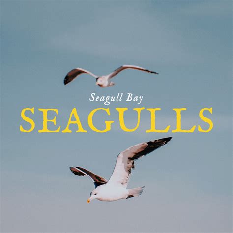 Seagulls Album By Seagull Bay Spotify