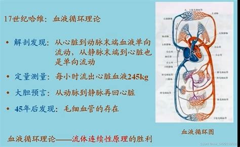 流体力学2——微分形式的基本方程 流体应力微分形式 Csdn博客