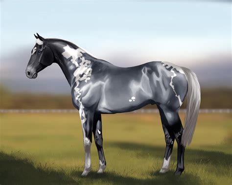 *SOLD* Blue Roan Paint gelding by Rhaine-Horses on DeviantArt