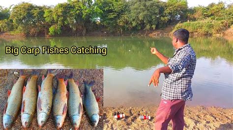 Fish Catching Videos Live Hook Fishing Abs Fishing New Video Carp