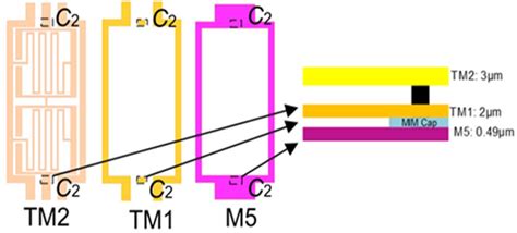 Structure Of The Second‐order Bpf‐ii 2d View Of Each Layer Tm2 Tm1