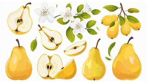 Fresh Yellow Pear Fruit From Various Angles Premium AI Generated Vector