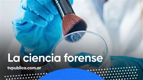 El Trabajo De La Ciencia Forense La Liga De La Ciencia Youtube