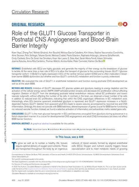 Pdf Role Of The Glut Glucose Transporter In Postnatal Cns