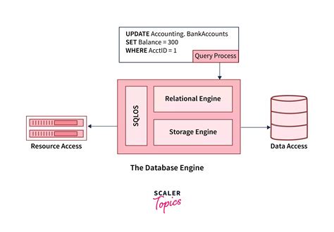 Sql Server Scaler Topics 60 Off