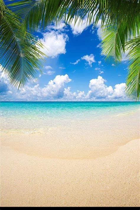 Beaches Ocean Backdrops Photography Backdrop G-505 – Dbackdrop