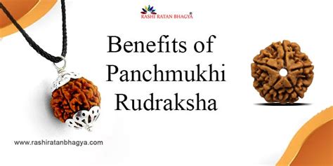 Exploring The Benefits Of 5 Mukhi Rudraksha By Rashiratanbhagyaseo